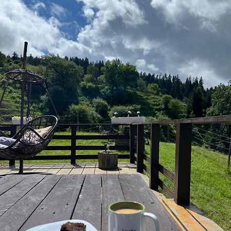 Villa Mitarbi Silence Borjomi Esterno foto