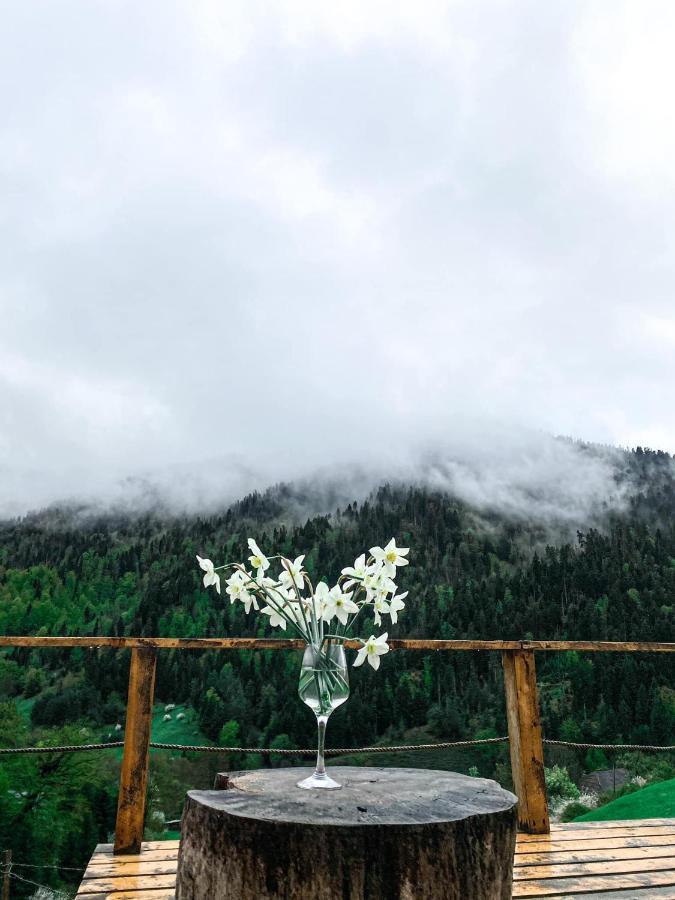 Villa Mitarbi Silence Borjomi Esterno foto