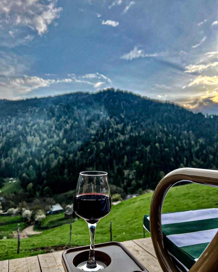 Villa Mitarbi Silence Borjomi Esterno foto
