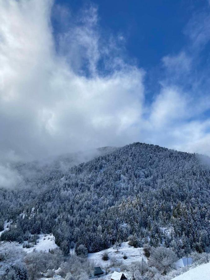 Villa Mitarbi Silence Borjomi Esterno foto