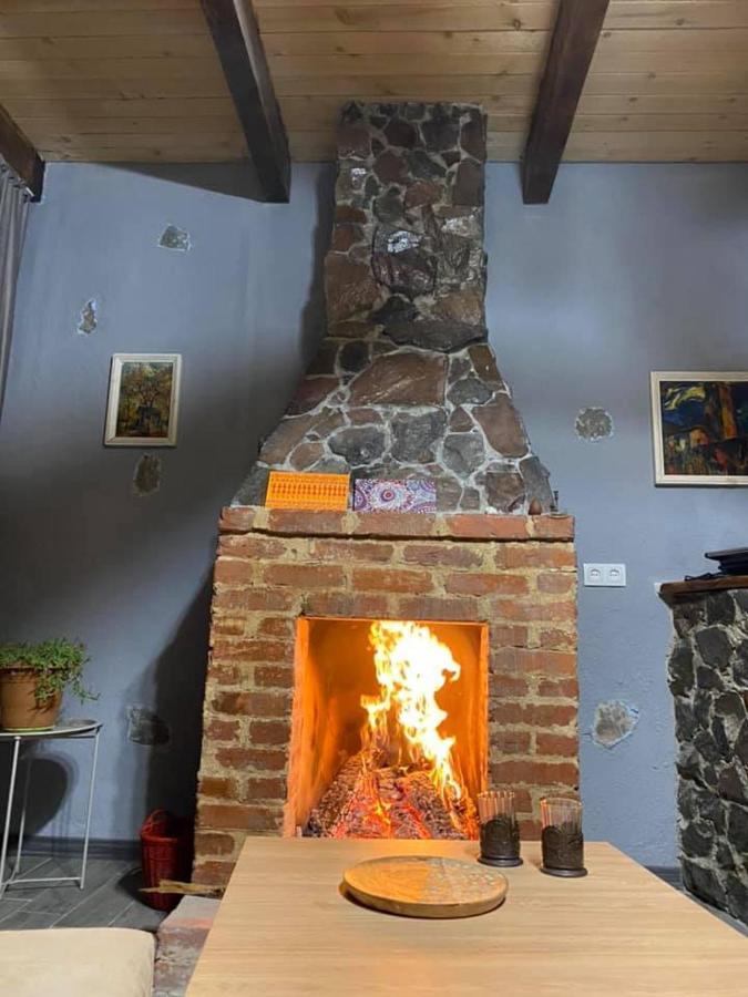 Villa Mitarbi Silence Borjomi Esterno foto