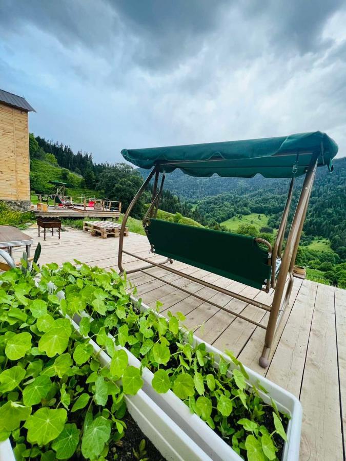 Villa Mitarbi Silence Borjomi Esterno foto
