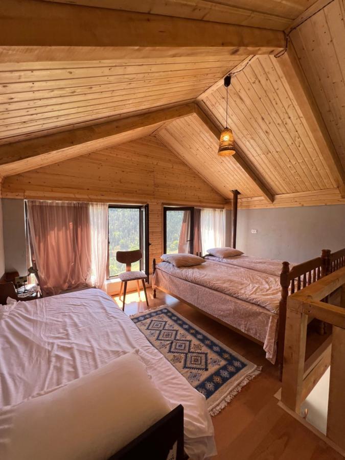 Villa Mitarbi Silence Borjomi Esterno foto