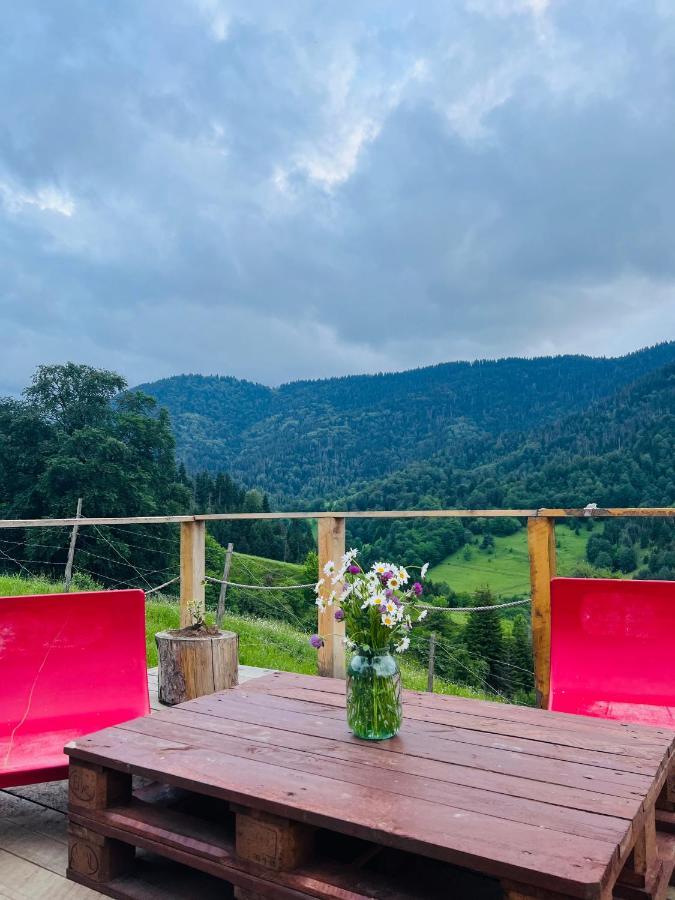 Villa Mitarbi Silence Borjomi Esterno foto