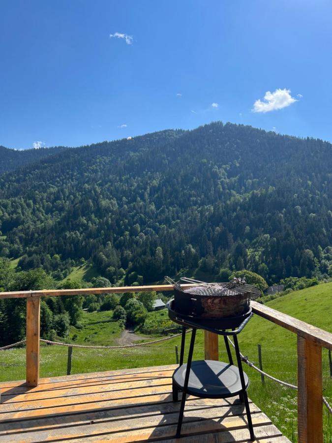 Villa Mitarbi Silence Borjomi Esterno foto