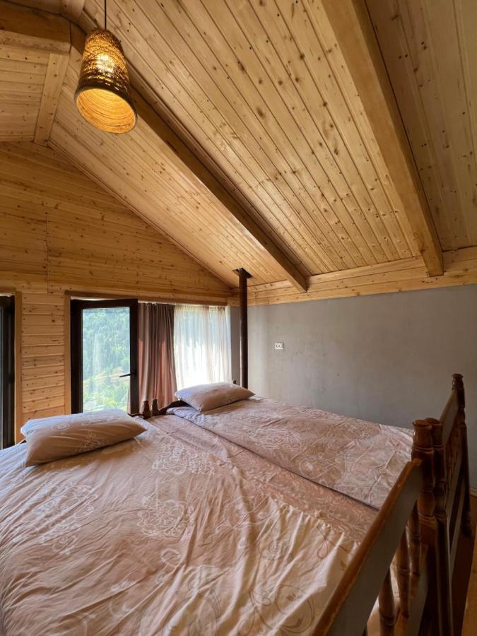 Villa Mitarbi Silence Borjomi Esterno foto