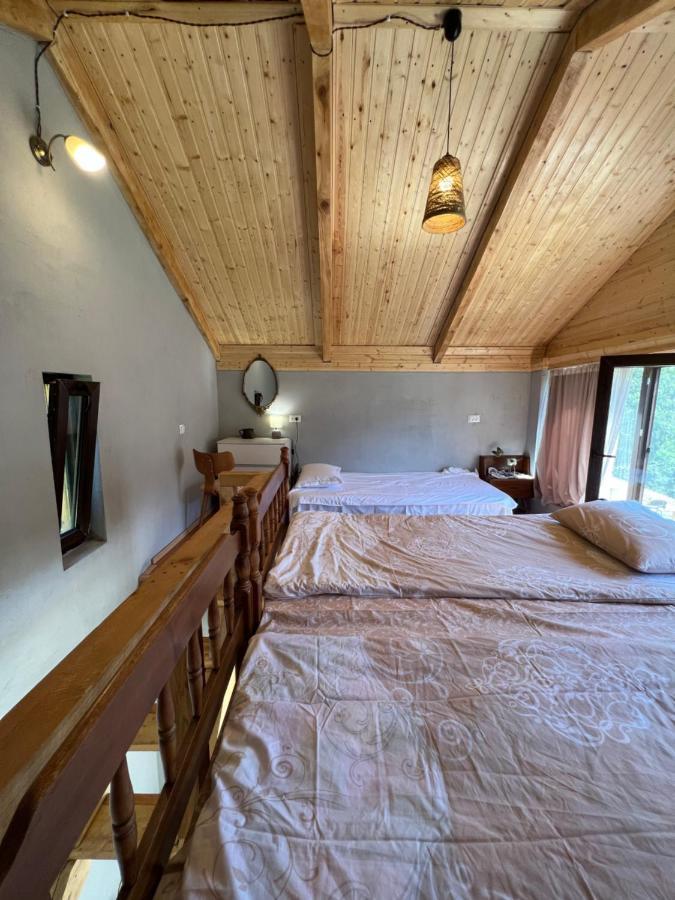 Villa Mitarbi Silence Borjomi Esterno foto