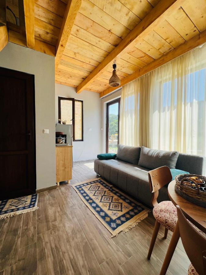 Villa Mitarbi Silence Borjomi Esterno foto