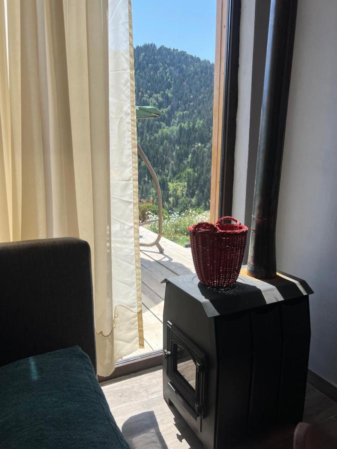 Villa Mitarbi Silence Borjomi Esterno foto