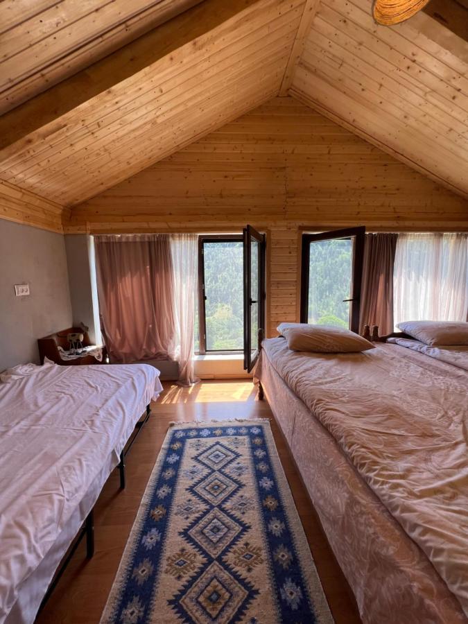 Villa Mitarbi Silence Borjomi Esterno foto