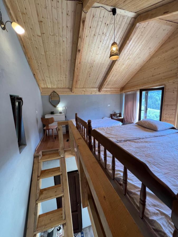 Villa Mitarbi Silence Borjomi Esterno foto