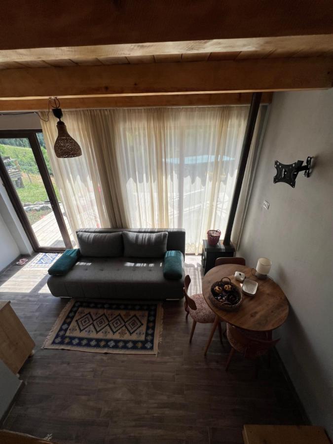 Villa Mitarbi Silence Borjomi Esterno foto