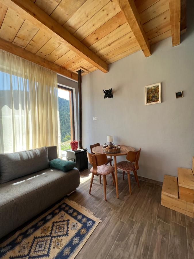 Villa Mitarbi Silence Borjomi Esterno foto