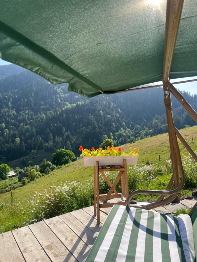 Villa Mitarbi Silence Borjomi Esterno foto