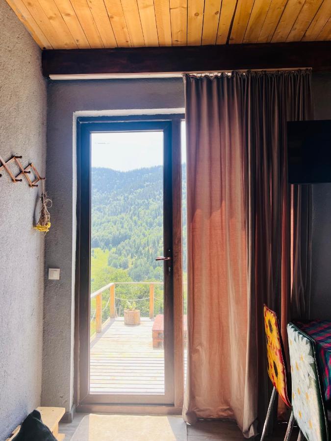 Villa Mitarbi Silence Borjomi Esterno foto