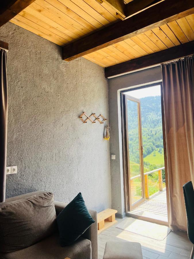 Villa Mitarbi Silence Borjomi Esterno foto