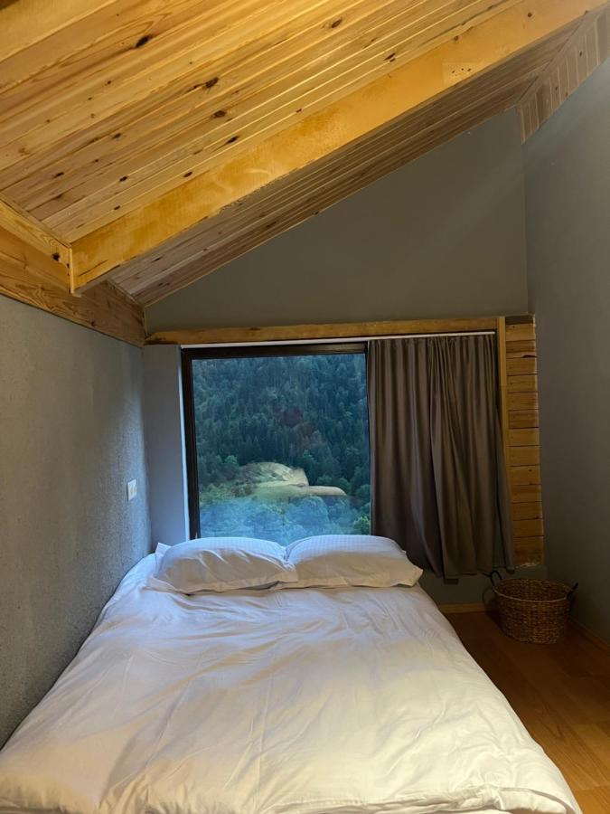Villa Mitarbi Silence Borjomi Esterno foto