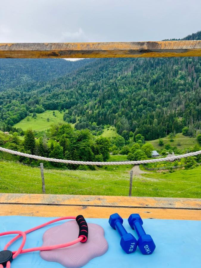 Villa Mitarbi Silence Borjomi Esterno foto