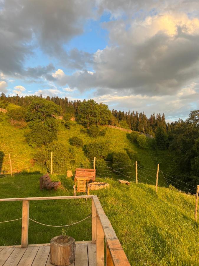 Villa Mitarbi Silence Borjomi Esterno foto