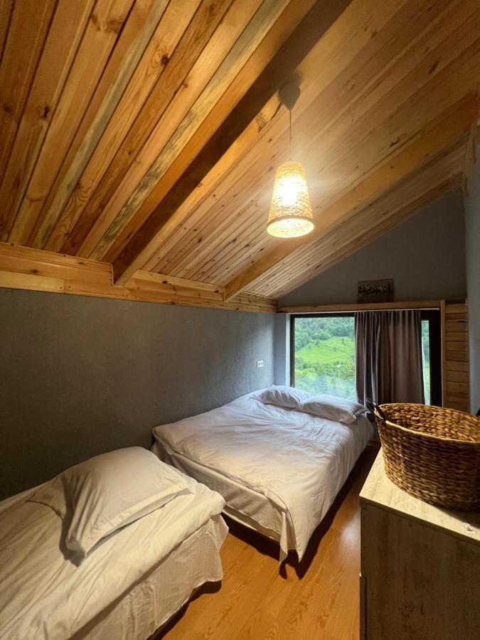 Villa Mitarbi Silence Borjomi Esterno foto
