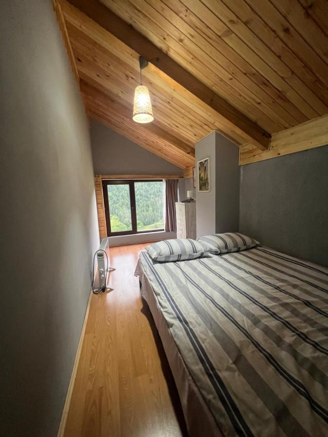 Villa Mitarbi Silence Borjomi Esterno foto