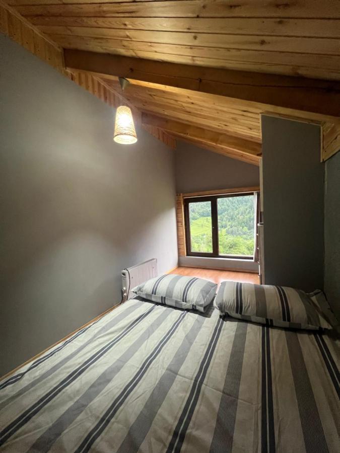 Villa Mitarbi Silence Borjomi Esterno foto