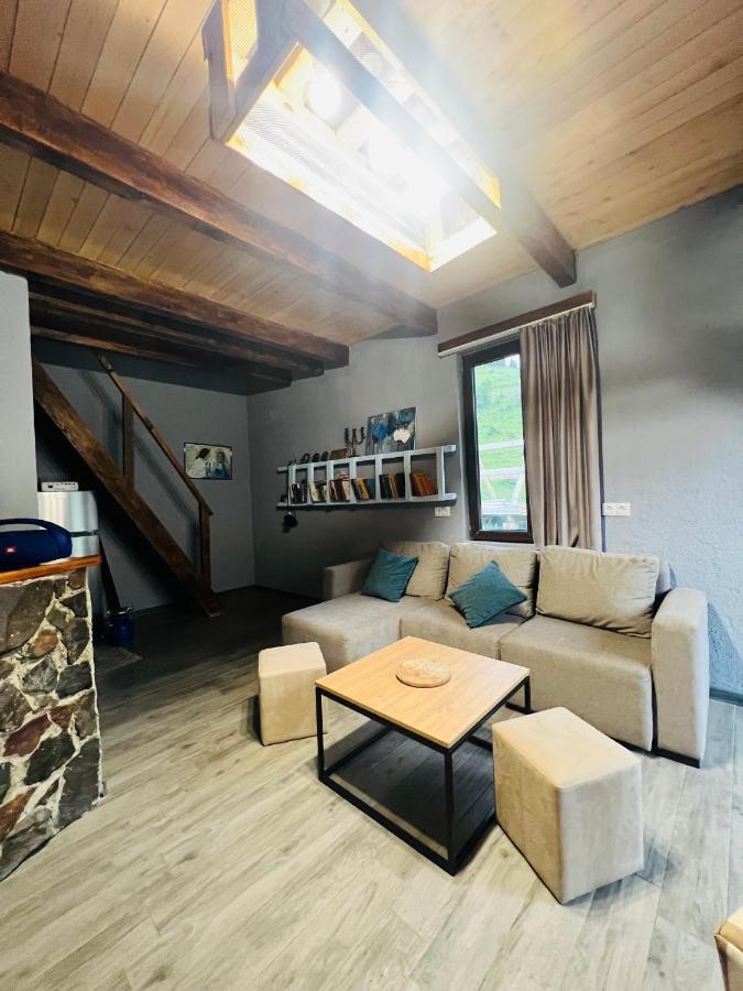 Villa Mitarbi Silence Borjomi Esterno foto