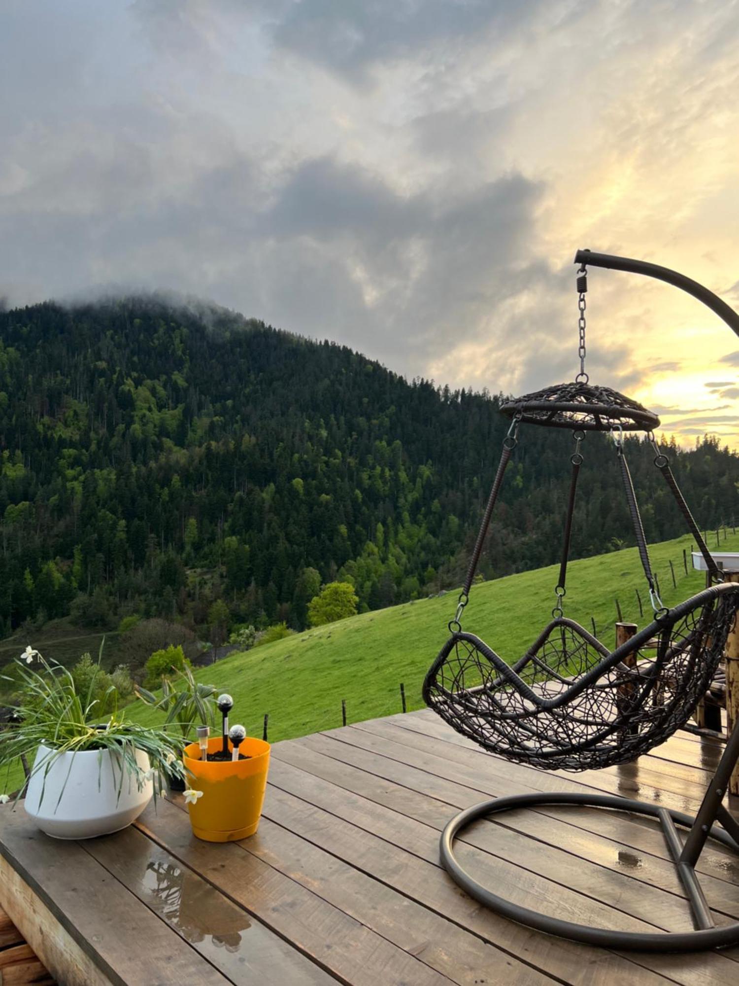 Villa Mitarbi Silence Borjomi Esterno foto
