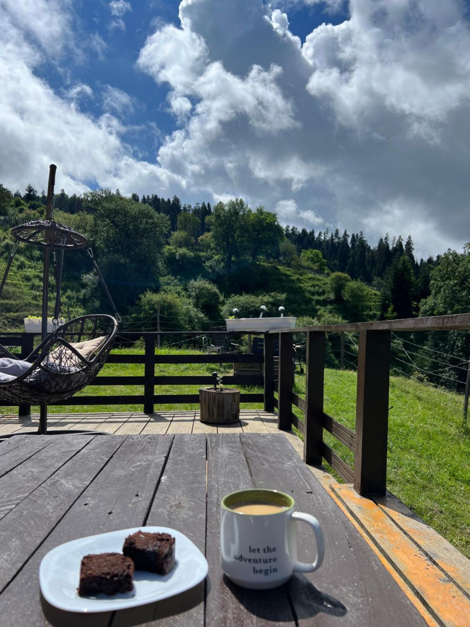 Villa Mitarbi Silence Borjomi Esterno foto